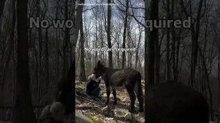 Moments like this aren’t trained. They’re allowed.