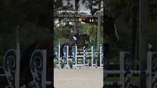 Still not over it, probably won’t ever be 💁🏼‍♀️🐎