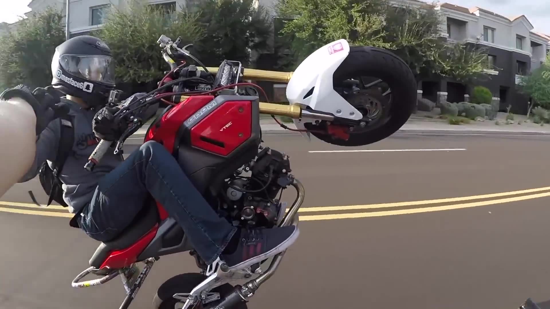 Unexpected encounter during spontaneous break on motorcycle journey