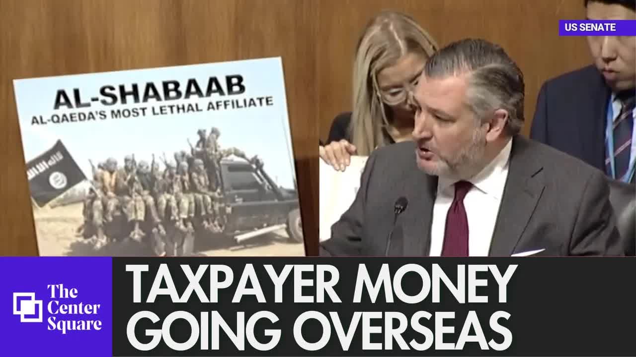 Sen. Cruz (R-TX) claims MN taxpayers are single largest funder of Somali terror org, Al-Shabaab