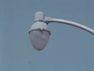 Trucks In Our Neighborhood (1967)