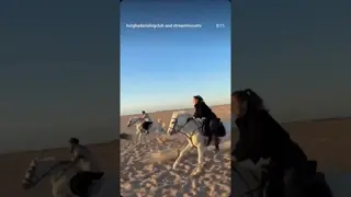 Falling in love again! Fly through the desert with us and experience freedom on another level! 🐎🧡