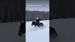 Woman's therapy ❄️🐴