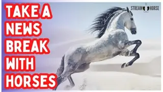 Your Stress Ends Here! 🛑🐎 10 Minutes of Horses & Nature After Today's News
