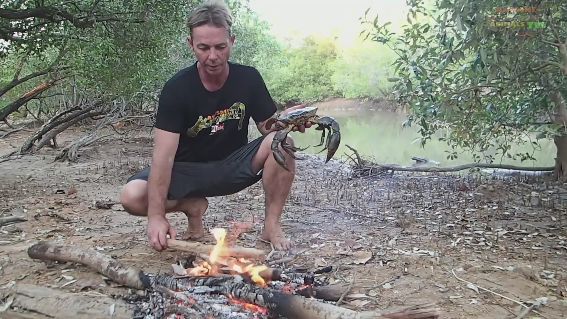 Preparing freshly caught mud crabs using traditional outdoor cooking methods