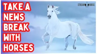 Step Away from the News Headlines 🔥🐎 10 Minutes of Fire Horse Courage & Calm