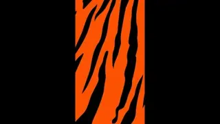 2.12 Bengals - Downs Social