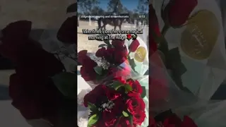 A Ridge tradition, we are looking forward to passing our roses in honor of Valentines’s Day 🌹🌹🌹🐎🐎🐎