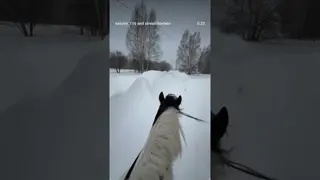How wonderful it was 🤍 We made the path ourselves, and in some places the horses had to jump ❄️