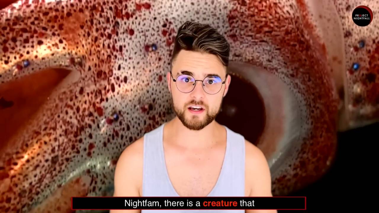 Sea creature attacks