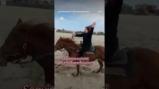 With my groups, we really gallop 🔥 The feeling of galloping on the beach... it can't be explained 🐎🌊