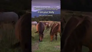 🙋🏼‍♀️  Notice something? A horse doesn’t: Justify– Defend– Over-explain– Apologize for existing...