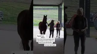 Trust isn’t trained into a horse. It’s invited.