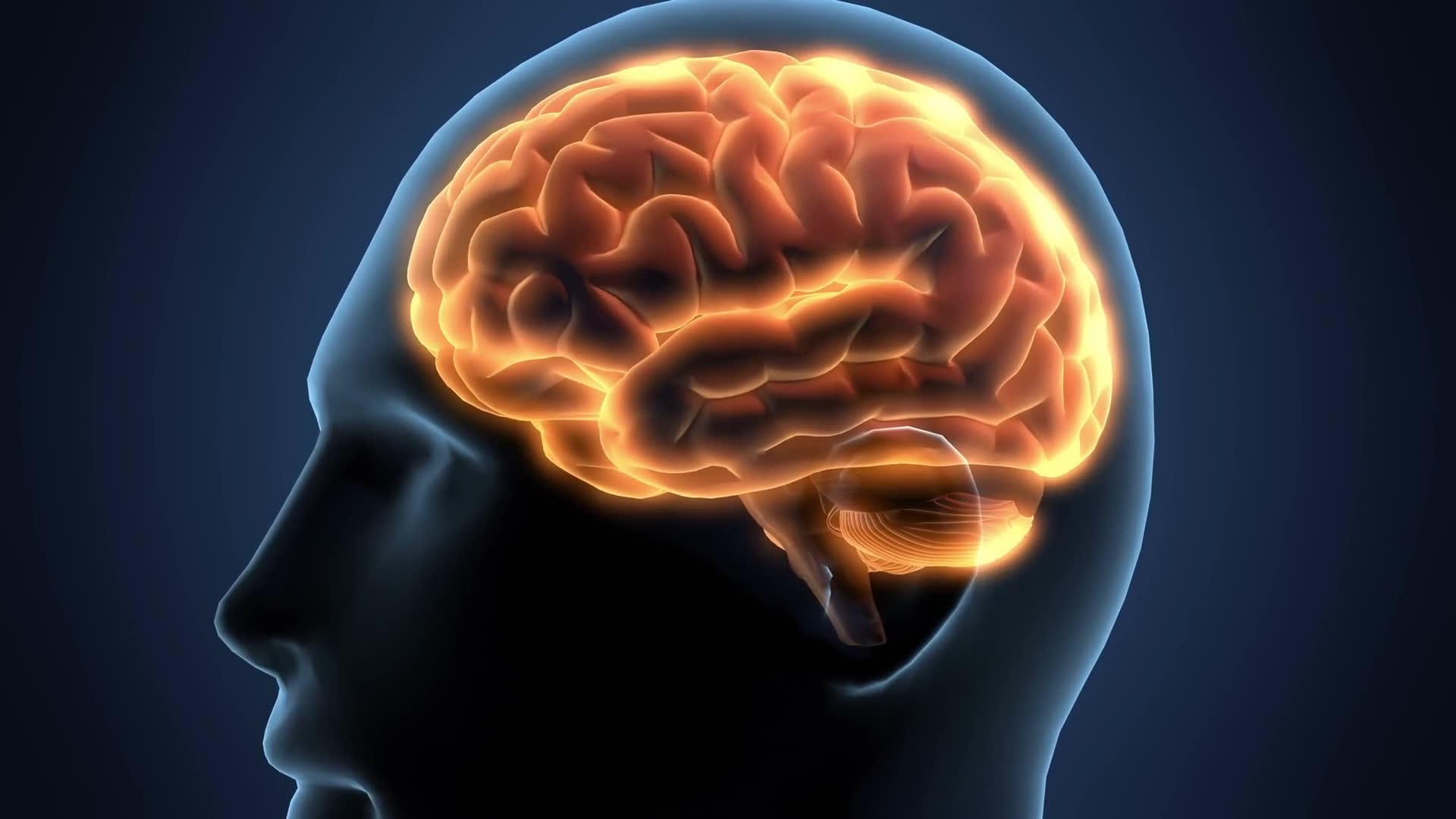 Neuroscience discoveries about how your mind operates