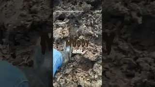 MUDDY ASMR ☔️ due giorni che non piove ma sitiamo ancora così
