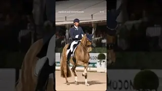 So much effort goes into Freestyle music 🐎🎶 and this passage tour was quite on the beat 🤩