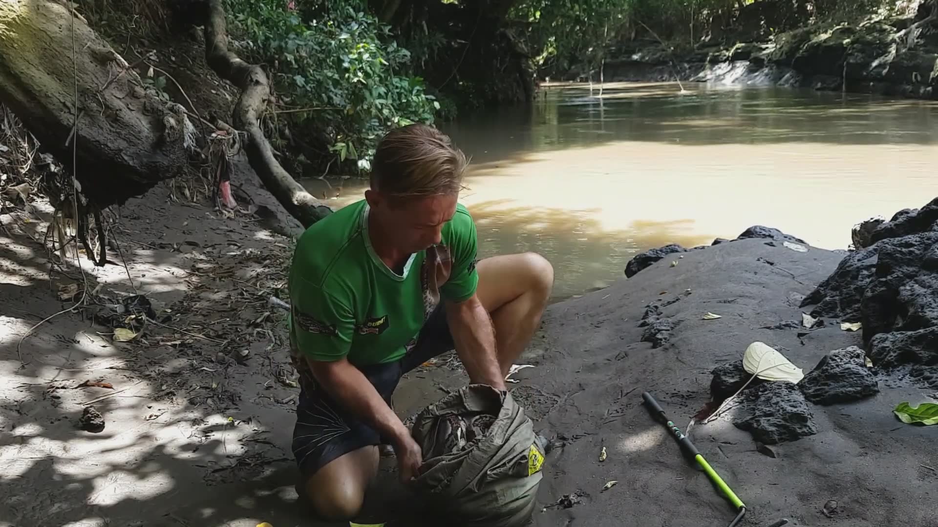 Field encounters with massive snakes including documentation of bite incidents
