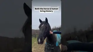 We talk about “it takes two to tango.” But horses are not negotiating from the prefrontal cortex.