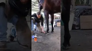 Throwing it back to some glue on shoes with our very own Dr. Brandon King, DVM.
