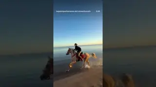 Galloping with the first light of the morning sun 🌅🐴🧡