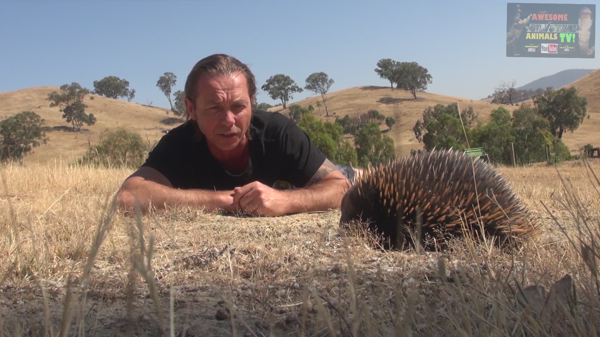 Meeting Australia's bizarre spiny echidna and learning bush tucker survival techniques