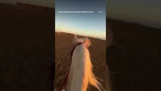 Those precious moments with you 🐴💛🌅