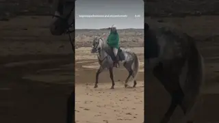 My Horseback Journey it’s made of love, respect, passion, and courage. ♥️