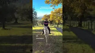 Let’s gallop together around Sabine hills in Italy 🤠🐎 May 15-18th, July 24-27th