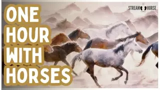 Recover from the News! 🛑🐎 1 Hour of Horses & Nature to Reset Your Nervous System