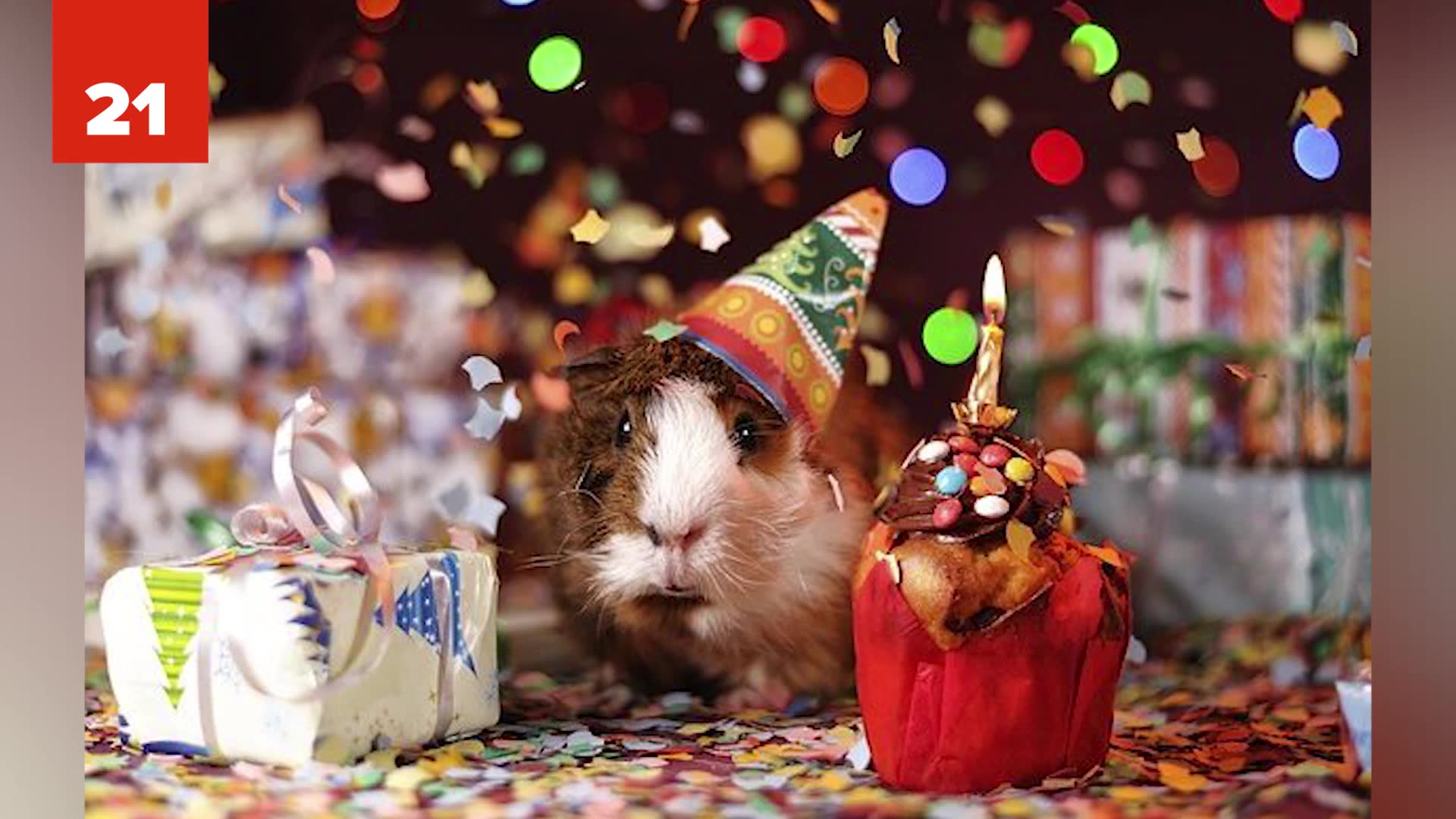 Unusual holidays you won't believe are actually marked on someone's calendar