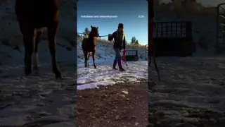 I actually love working with a horse with a little sass.