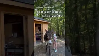 Fear travels through nervous systems. But safety stops the transmission.