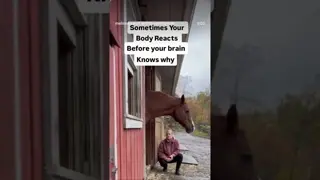 Most people assume thoughts come first and then the body reacts. 👇🐴