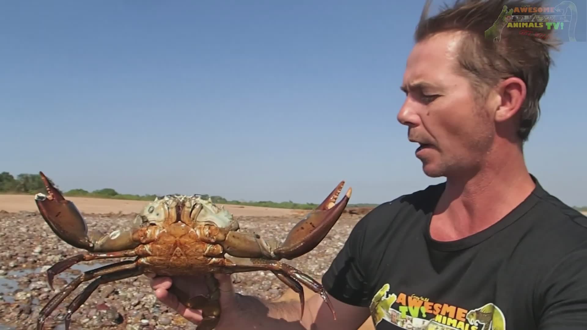 Hauling in monster-sized mud crabs and grilling them fresh over a campfire