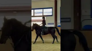 🖤✨
