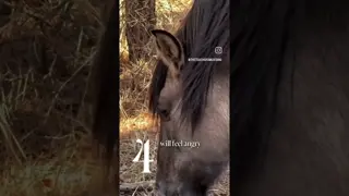5 Things I Wish I'd Tried Sooner As A Recovering People Pleaser ❤️🐴