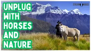 Unplug with Horses and Nature — A 10-Minute Escape from Stress 🐴🌎👀