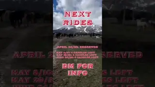 Imagine riding through breathtaking landscapes, feeling pure freedom and connection with nature.