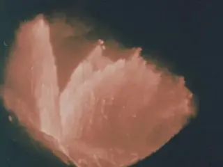 Face Of The Earth (1975)