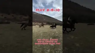 Trade the city for the wild. Spend a weekend riding horses and living the true cowboy experience.