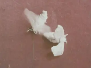 Silk Makers Of Japan (1964)