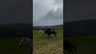 🤍🏇🏽👯‍♀️