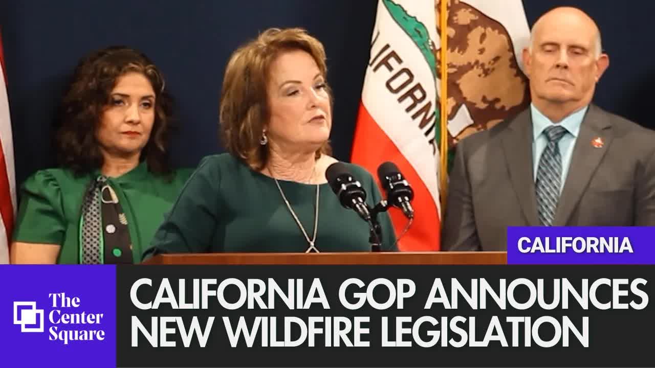 Republican Lawmakers Introduce Their Wildfire-Related Legislation In California