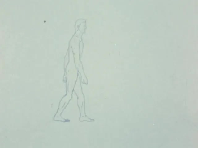 Ecomega (1972)
