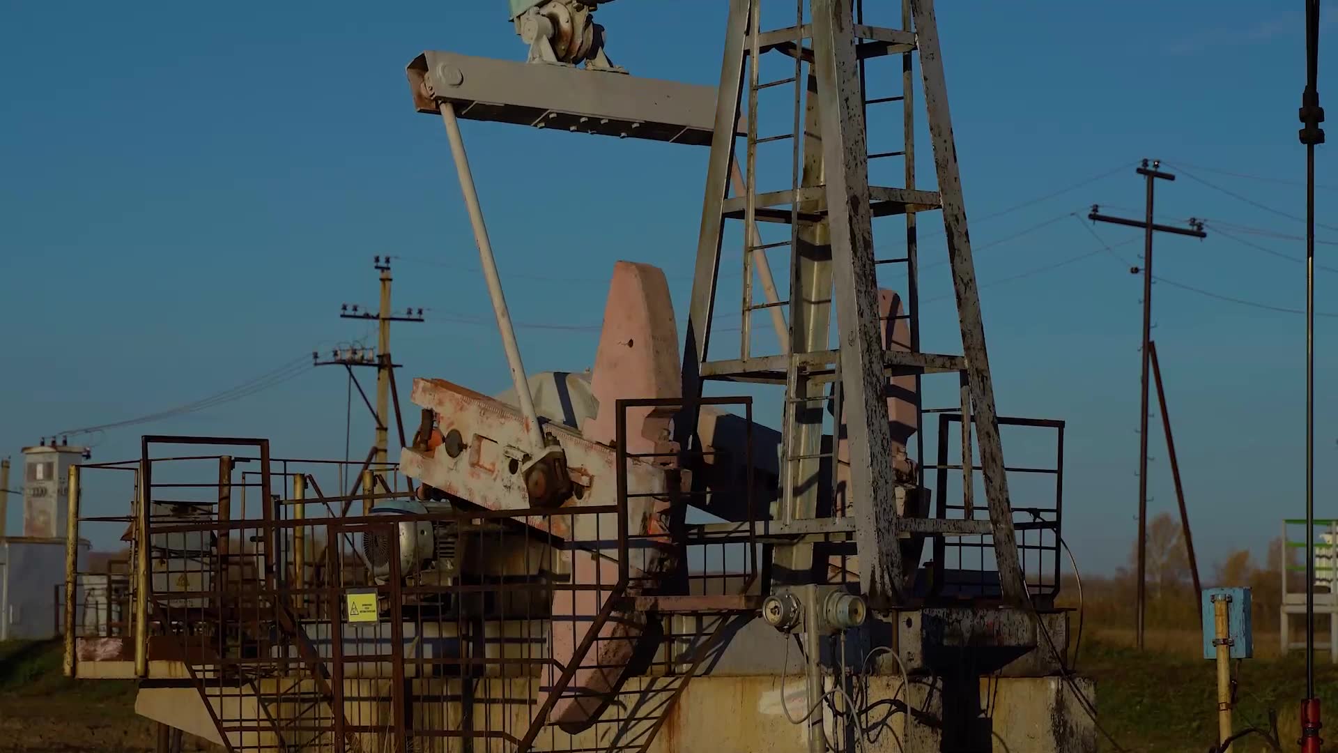 Which political leader benefits from oil cartel's pricing decisions