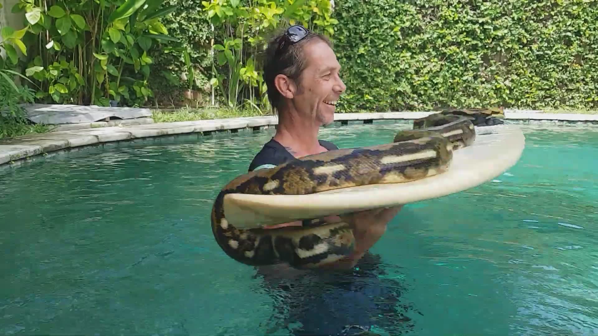 A wild snake takes to the waves in this unusual and unexpected ocean encounter
