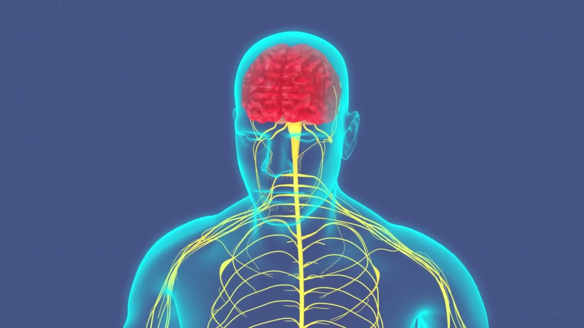 Incredible facts about the human body that prove you're a walking miracle
