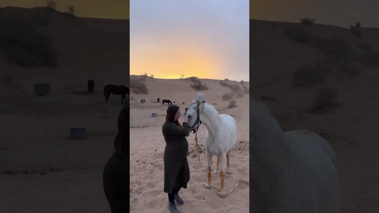 The magic of true soul connection✨️🫶🦄