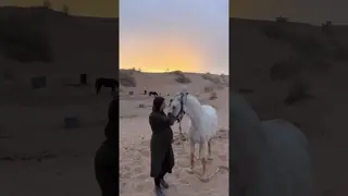 The magic of true soul connection✨️🫶🦄