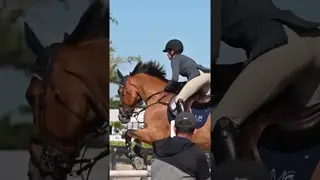 Warming up Valdes 🐎